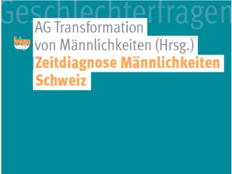 Book cover Zeitdiagnose Männlichkeiten