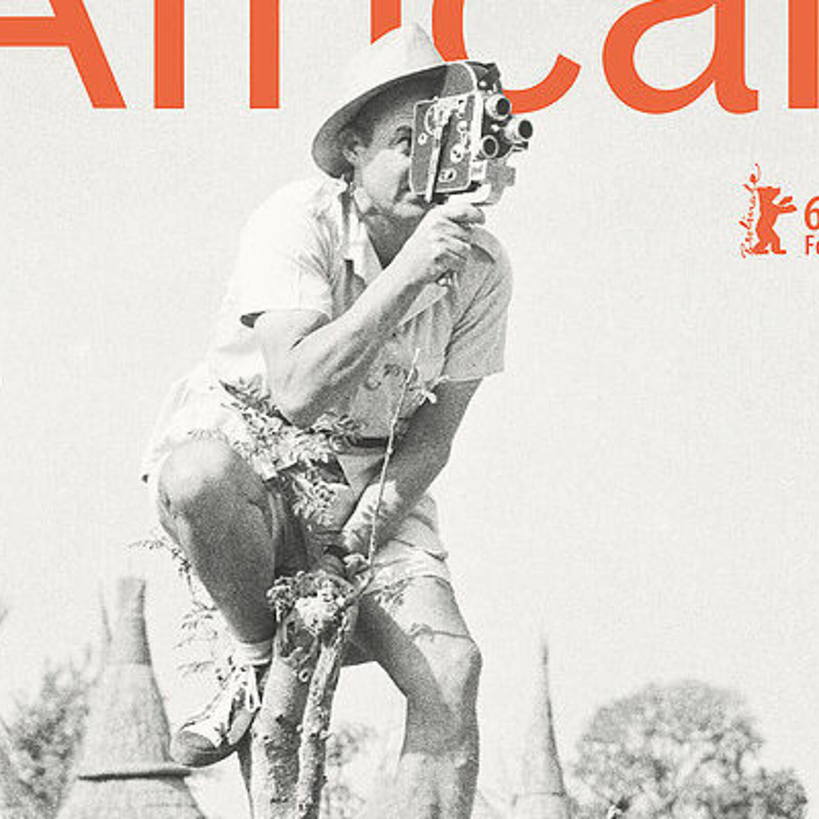 Poster zum Film African Mirror