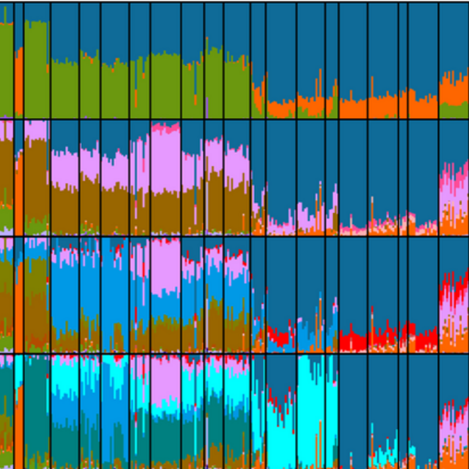 Graph of Northeast African genomic variation (source: Wikimedia / Hollfelder N, Schlebusch CM, Günther T, Babiker H, Hassan HY, Jakobsson M (2017) Northeast African genomic variation shaped by the continuity of indigenous groups and Eurasian migrations. PLoS Genet 13(8): e1006976. https://doi.org/10.1371/journal.pgen.1006976)