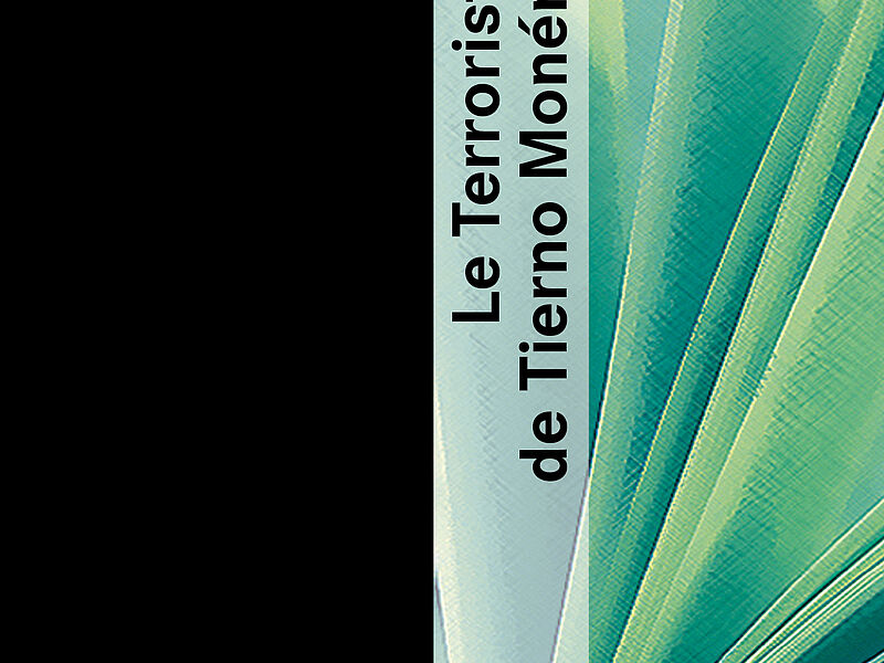 Cover picture Le Terroriste noir de Tierno Monenembo