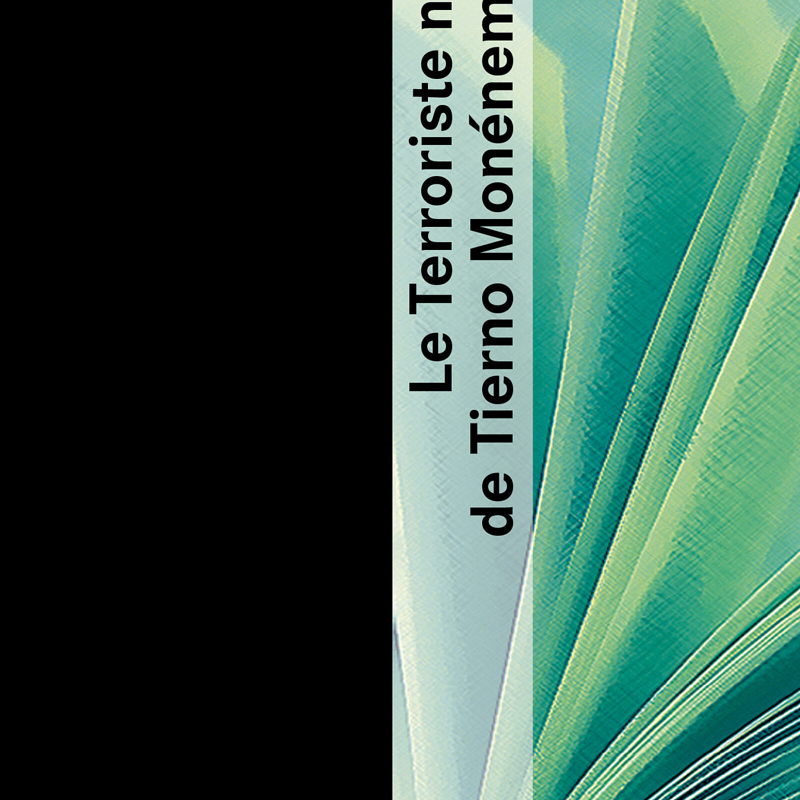 Cover picture Le Terroriste noir de Tierno Monenembo