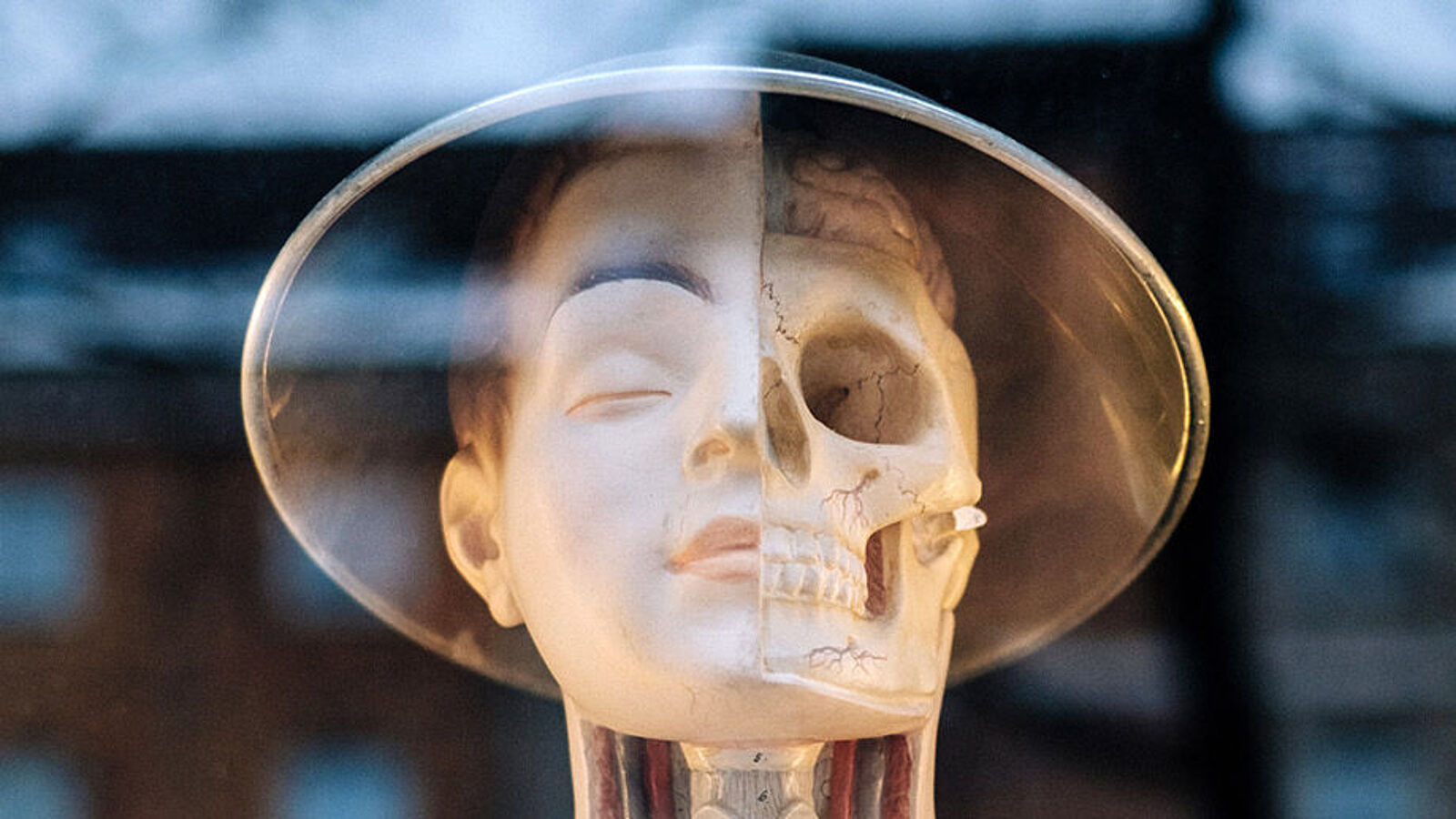 Bild zur Ringvorlesung One Health