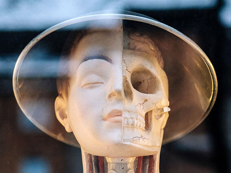 Bild zur Ringvorlesung One Health